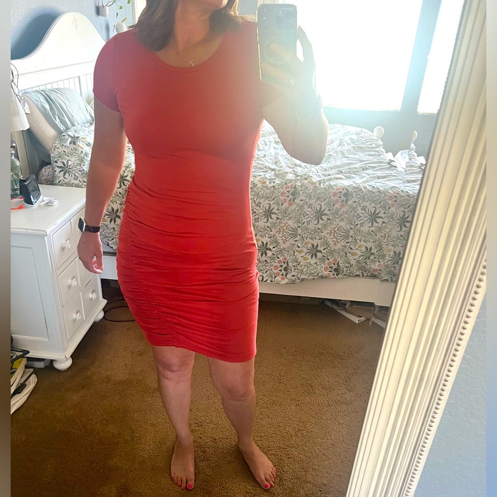 NWT Susina Rust colored Side Ruched Fitted Mini Dress